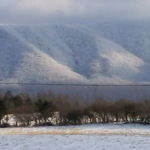 Meet your Posher, Belinda